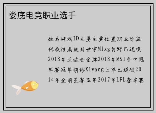 娄底电竞职业选手